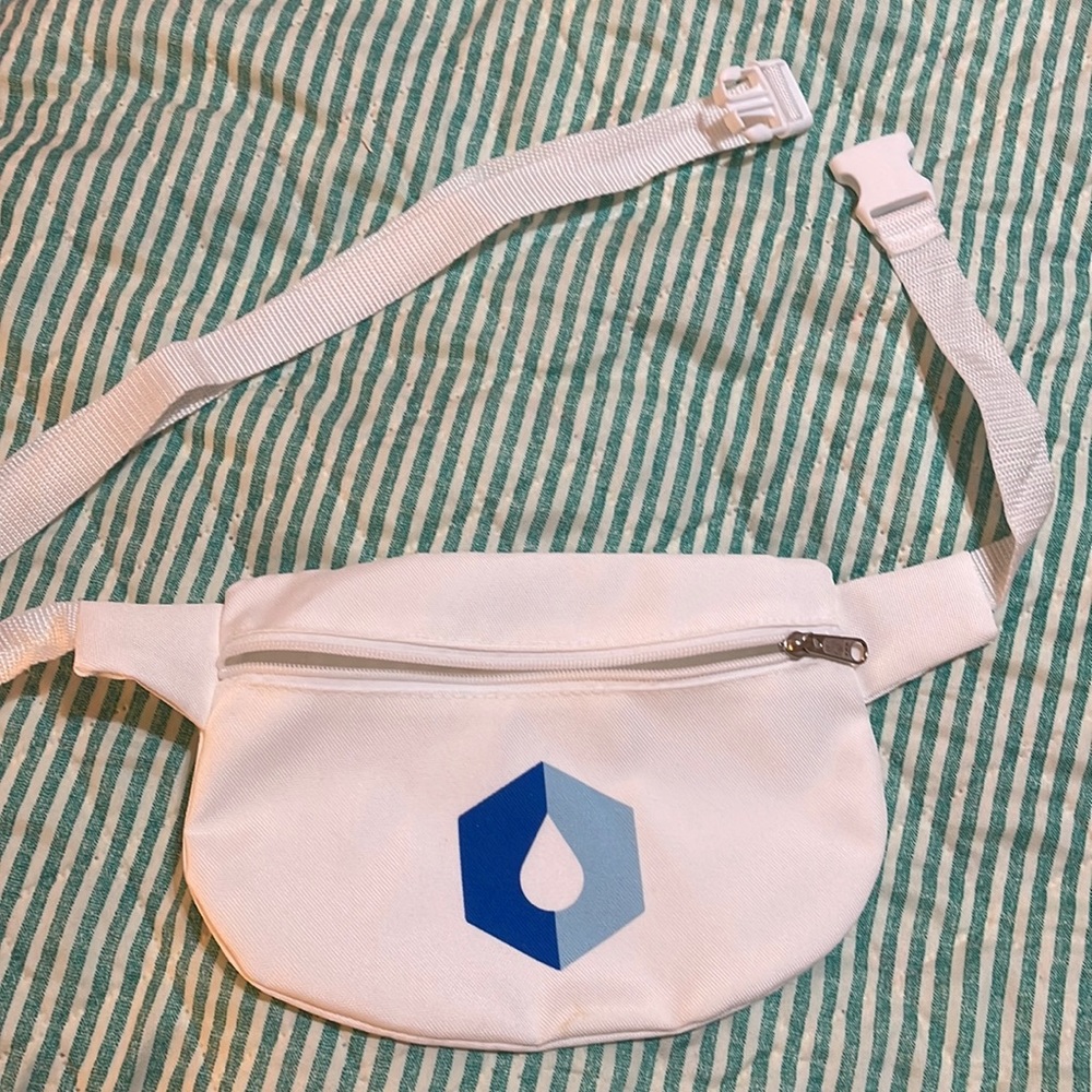 NWOT Fanny pack
